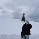 매직스토어 이미지