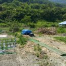 소포마을 이미지