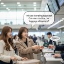 5060 여행영어 이미지