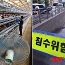 진일농장 이미지