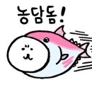 회뜨는중 이미지