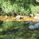 샬롬세탁소 | 단양숙소 샬롬펜션 소백산자락계곡옆,샬롬펜션 6호...다리안계곡을 도보로누린 완벽한1박2일여행후기