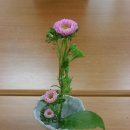 성서고등학교 이미지