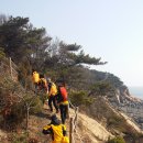 봉도니