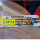 히트 관광나이트 이미지