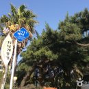 지삿개풍경