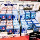 #레오네 이미지