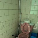 고니민박 이미지