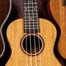 일반인우쿨렐레 이미지