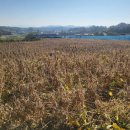 병길농장 이미지