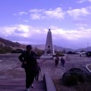 우리나라 멸종위기 야생동물 이해하기 이미지