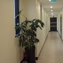 천지연크리스탈호텔 이미지