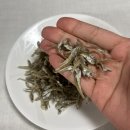 경북건어물 | 포항건어물맛집, 밥도둑 멸치 발견한 구룡포과메기로 유명한 포항경북건어물 후기