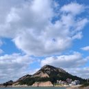 장자길 | 군산 장자도 [장자바다정원카페] 내돈내산 솔직후기