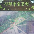 신현-5 (솔숲공원) 이미지