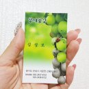 황재농장 | 안성 포도따기체험 포도체험가서 맛있는 포도 따왔어요