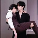 수연 티스토리