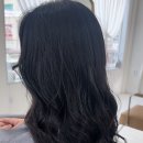 보르미 헤어 이미지