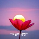 나를 향한 당신의 보혈의 피가...(주사로 해결할 수 있도록) 이미지