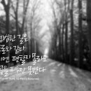 중랑천 산책로 이미지
