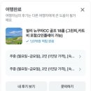 발리골프스타