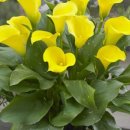 화림농장 이미지