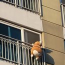 세븐일레븐연산명성점 이미지