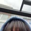 한스민박 | [🇫🇷 프랑스 교환학생] Day 23 - 27 네덜란드 암스테르담, 벨기에 브뤼셀 여행이야기