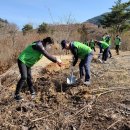 국립산림과학원
산림바이오소재연구소 이미지