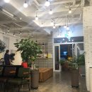 참마음유치원 | 경주 황리단길 게스트하우스:) 풍뎅이 호스텔 숙박 후기