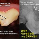 장승준동물치과병원 이미지