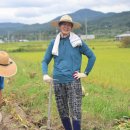 겸면농장 이미지