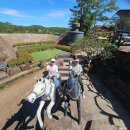 클레이하우스투 이미지