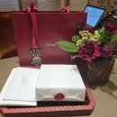 4326 | C드 까르띠에 네크리스 목걸이 프로포즈 후기 / 예물 추천