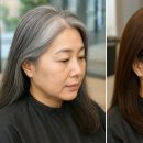 수 미용실 네이버블로그