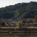 소망의료기 제47공원 | 🌿[순천일기]순천만 국가정원 관람코스 완벽정리 (Feat. 호수정원,관람차,스페이스브릿지,한국정원)