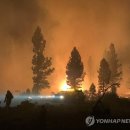 미 서부 대형 산불로 서울 2.6배 면적 불타..동부까지 연기 덮쳐 이미지