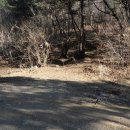 태종농장 이미지