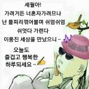 ★ 인체의 신비 이미지