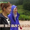 세끼김밥 - 강릉시 남부로 147 | 세끼김밥