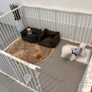 24시 카페 몽몽 이미지