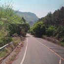 동산마트 | 완주 화산 꽃동산 겹벚꽃 명소. 철쭉, 홍매화 실시간 개화 현황 26.4.18 완주 꽃동산 12만평
