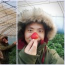 행복한사슴농장 이미지