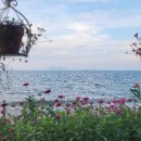 바다세상민박 이미지