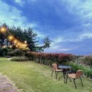 태양스테이 이미지