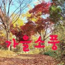 이루아