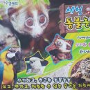 수성랜드 이미지