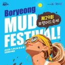 도산종합개발㈜ | 영화 한 편과 발상의 전환이 만들어낸 기적, 보령머드축제 역사 총정리 &amp; 2026 후기