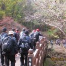 도봉야영장 이미지