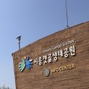 시흥 갯골생태공원 | 시흥갯골생태공원 | 시흥 벚꽃 4월 첫 주 다녀온 후기